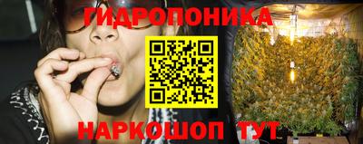 трава Будённовск