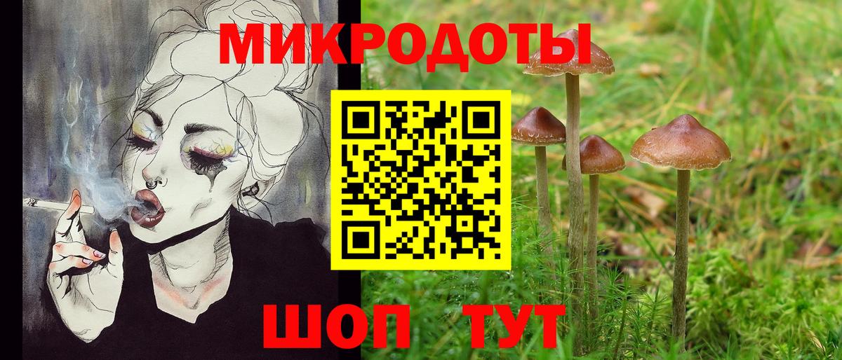 закладки  Псилоцибиновые грибы Psilocybine cubensis  Вход с VPN  Псилоцибиновые грибы Psilocybe  Тверь 