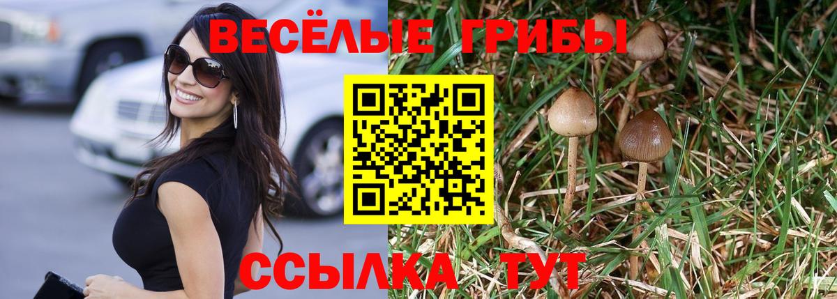 Псилоцибиновые грибы мухоморы Тверь